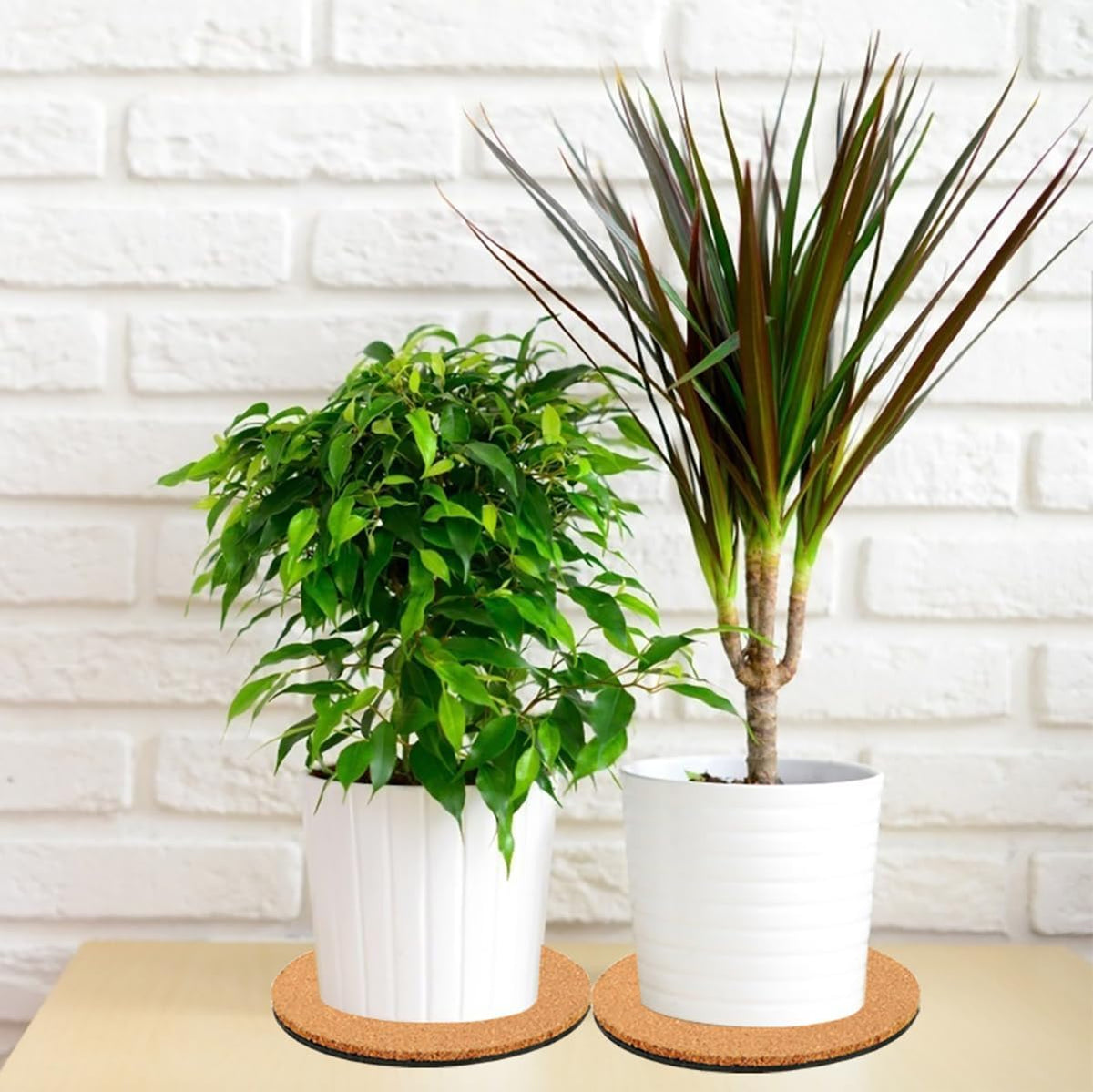 6 Pieces Cork Plant Coasters, 4 Inch Cork Plant Mats, Cork Coaster for Planters, Plant Coasters for House Plants Indoors (Nude & Black)