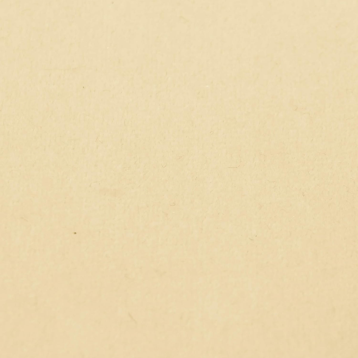 Tov Furniture Melody Tasseled Ottoman (Cream)