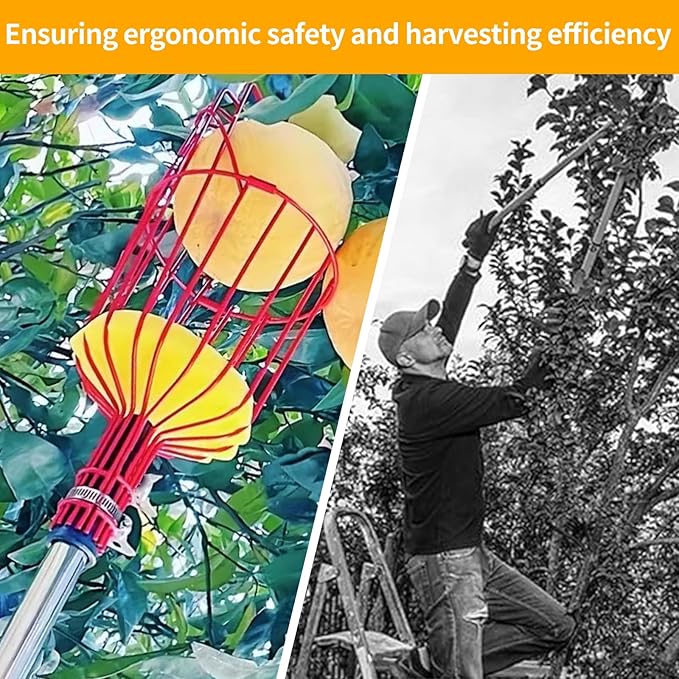 26FT Reach Fruit Picker Pole, Telescopic Picking Pole with Gentle Grip Claw & Collapsible Basket, Adjustable Apple Picker Pole Tool for Avocado Orange Lemon Pear Mango
