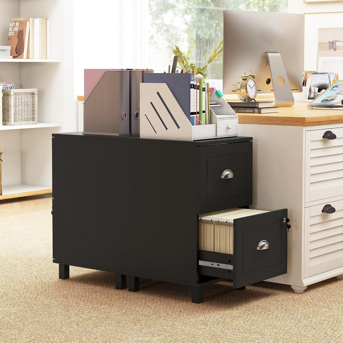 HOMCOM Vertical Filing Cabinet with 2 Drawers Lockable File Cabinet Black | Adjustable Hanging Bars, for A4 and Letter, for Home Office