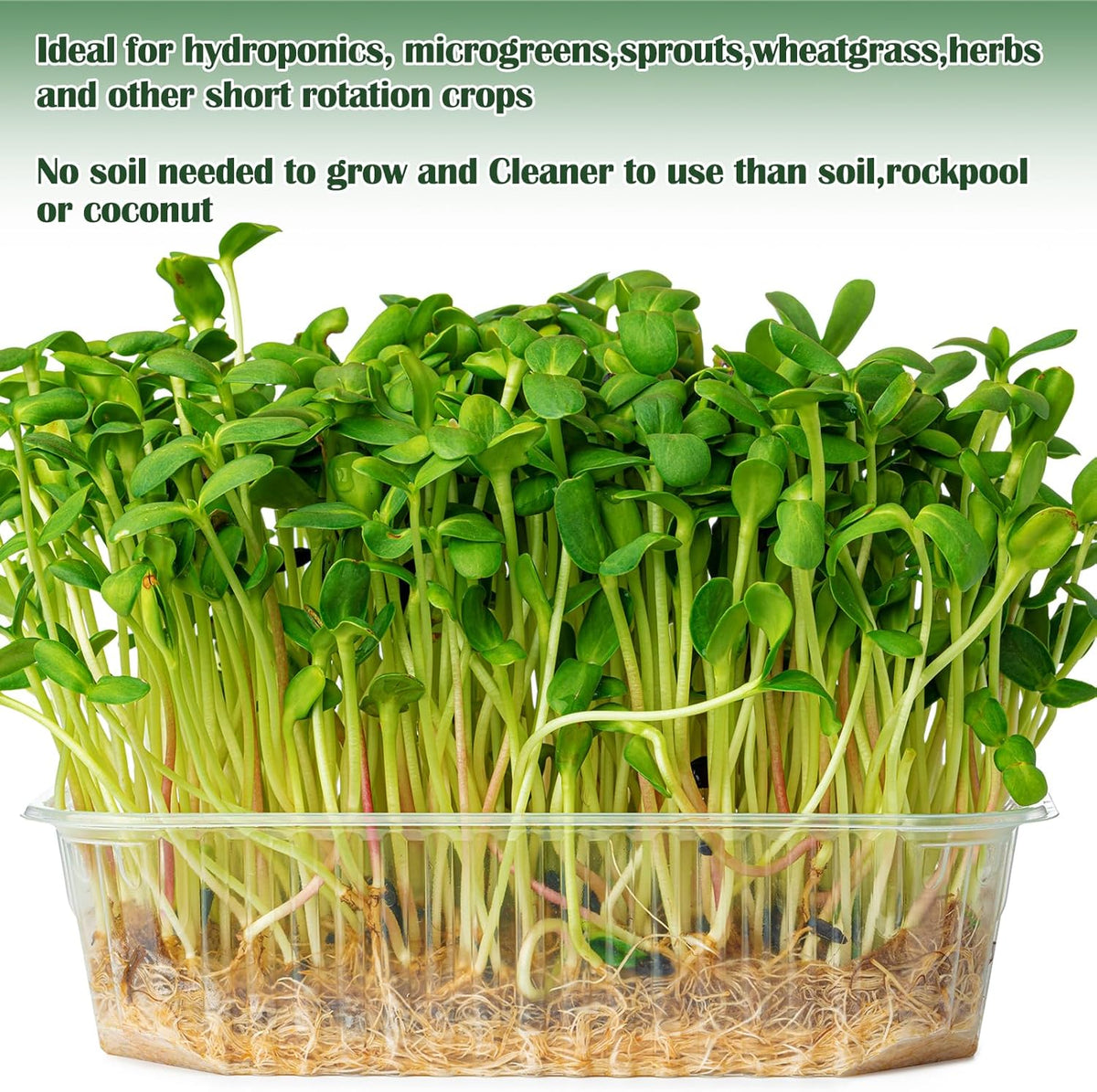 1Roll 10" X 79" Microgreen Grow Mat Natural Fiber Grow Mats Microgreens Grow Kit Hydroponic Pads Indoor Organic Production for Microgreen Starter Tray Wheatgrass Sprouts