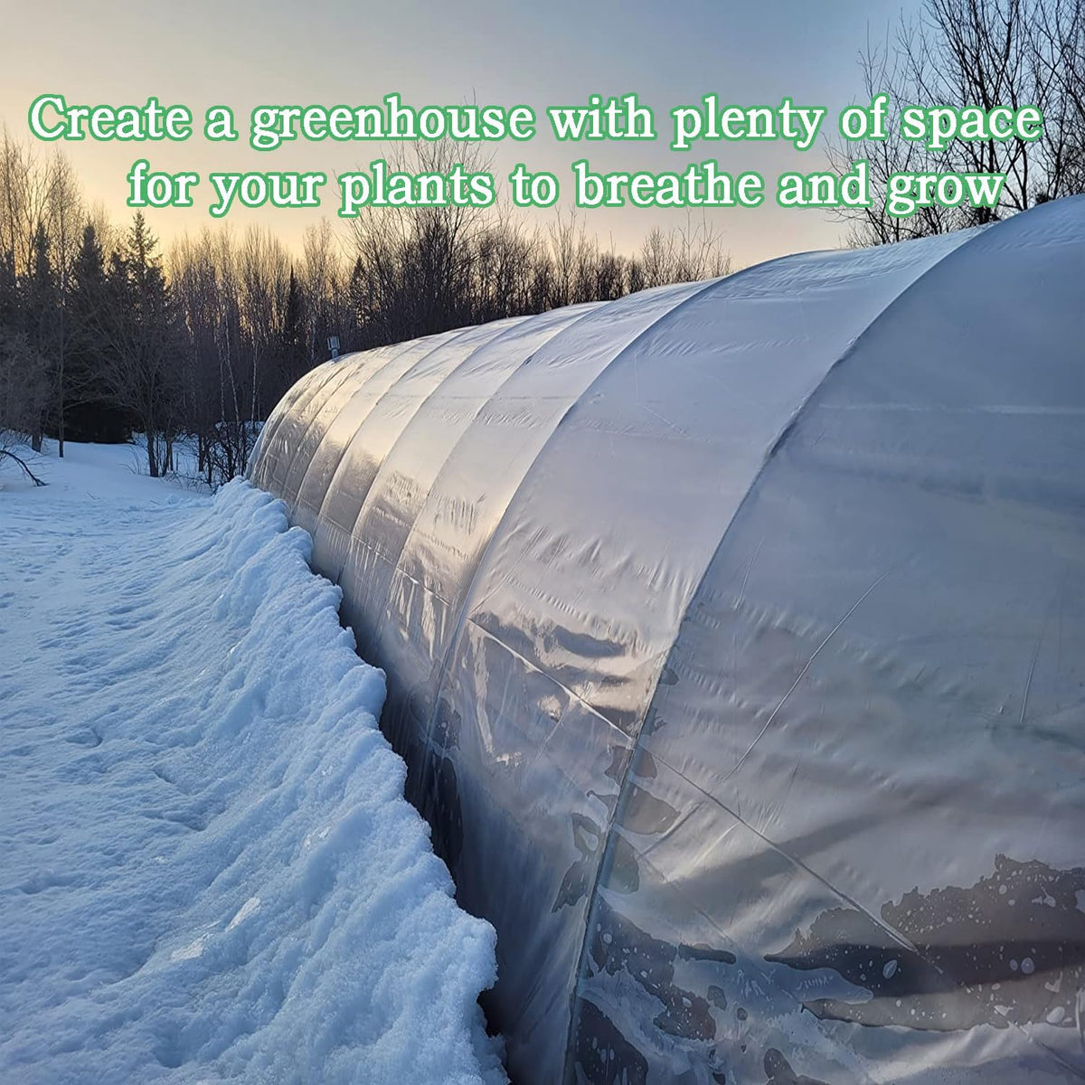 6.5FTx10FT Greenhouse Plastic Sheeting, 6 Mil Thick Clear Polyethylene Film, Waterproof Wind Frost Dust UV Resistant Green House Plastic Covering for Outdoor Plant, Garden, (6.5ft x 10ft)
