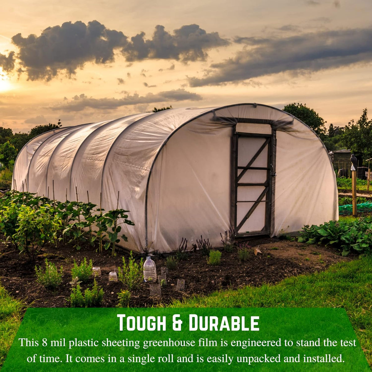 Farm Plastic Supply - Clear Greenhouse Plastic Sheeting - Ultra Durable - 8 mil - (16' x 100') - 4 Year UV Resistant Polyethylene Greenhouse Film for Gardening, Farming, Agriculture