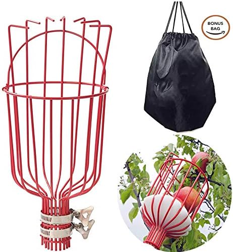 COCONUT Fruit Picker Pole with Basket Telescoping, 10 FT Fruit Picker Tool for Mango Orange Lemon Apple, Fruits Catcher Tree Picker for Getting Fruits