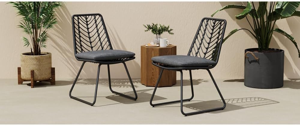 Saiveina Deja Chair,2PCS with 2 Cushions,Gray