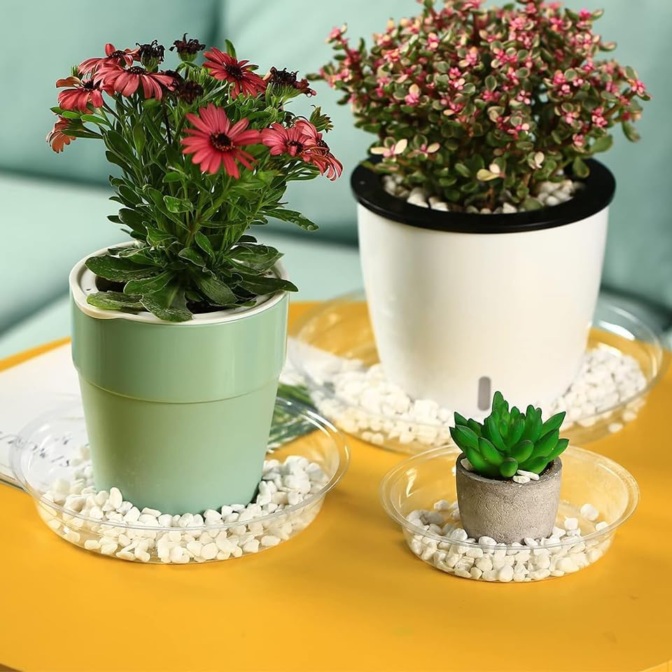 30 Packs 16" Extra-Large Clear Plant Saucers for Indoor Outdoor Use Heavy Duty Plastic Plant Trays for Planter Bulk Flower Pot Drip Trays to Catch Water, 4 to 20 Inch