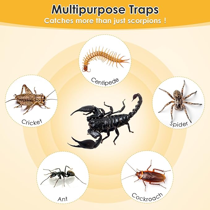 Qualirey 18 Pack Scorpion Glue Tray Traps, Adhesive Scorpion Killer Indoor, Pet and Children Safe, Repellent, Insect Traps Indoor, Sticky Bug Catcher for Basement, Bathrooms and Garage