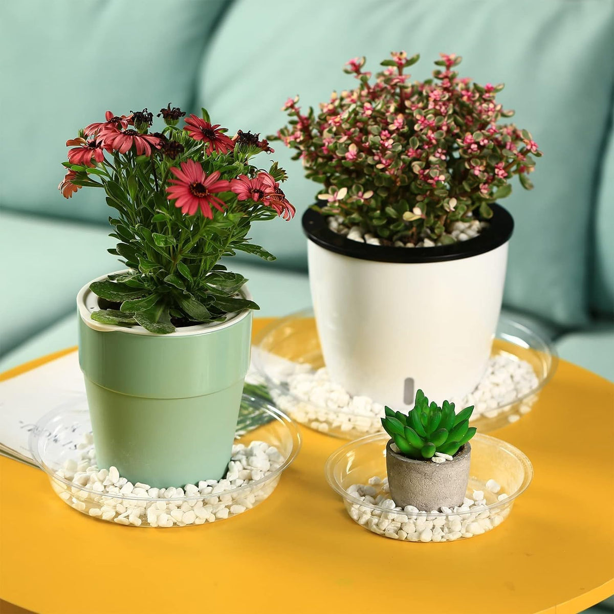 20 Packs 16 Inches Large Clear Plant Saucers for Indoor Outdoor Use Heavy Duty Plastic Plant Trays for Planter Bulk Flower Pot Drip Trays to Catch Water, 4 to 20 Inch