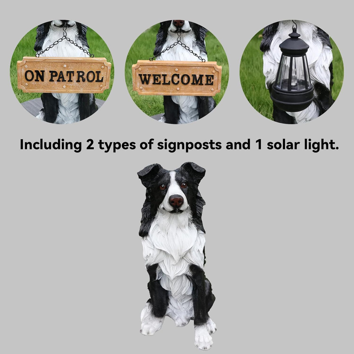 Border Collie Outdoor Dog Statue with Reversible “Welcome/ON Patrol” Plaque and Solar Path Lantern, Black & White Sitting Herding Dog Yard Accent