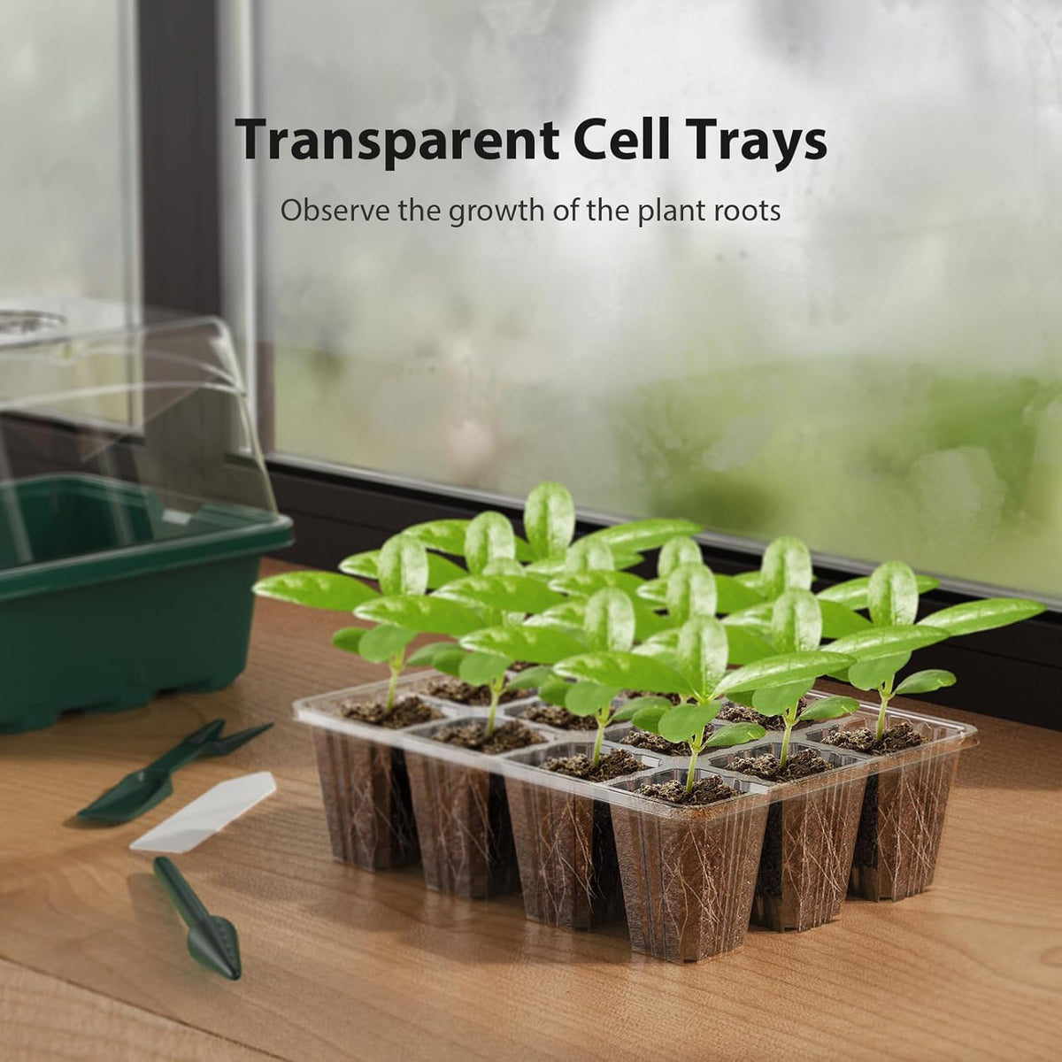 Seed Starter Tray, 10PCS Seed Starter Kit, Seedling Starter Trays with Heightened Lids for Seed Staring, Indoor Gardening Plant Germination Trays (12 Cells per Tray) Green