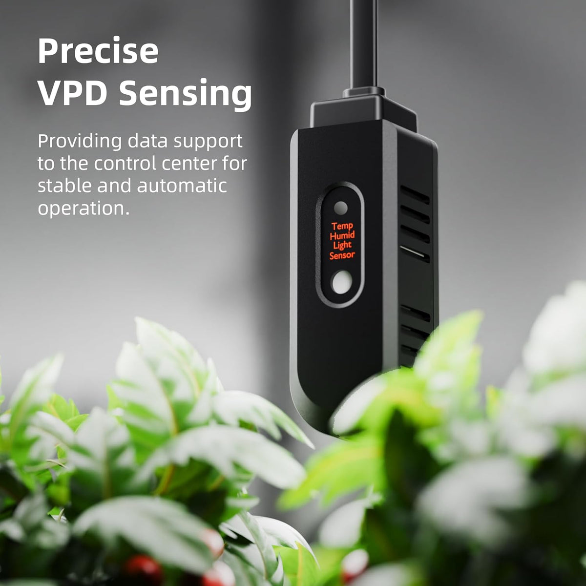 Spider Farmer GGS AC10 Power Strip Kits, 10 AC Smart APP-Based Controls Outlets, 3 in 1 Soil Sensor, Temp Humid Light Sensor, for Indoor Grow Tent Plants Room