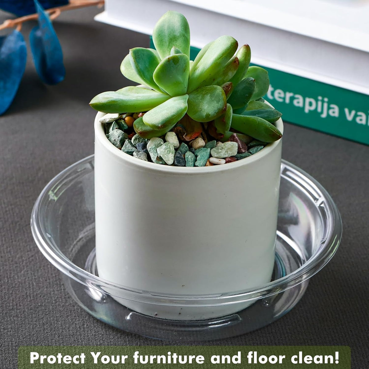Plant Saucer 30 Pack Plant Trays for Pots 6 Inch Plastic Plant Saucers for Outdoors and Indoors Clear Drip Trays for Potted Plants Flower Pot Plates to Catch Water Plant Drainage Dishes No Holes