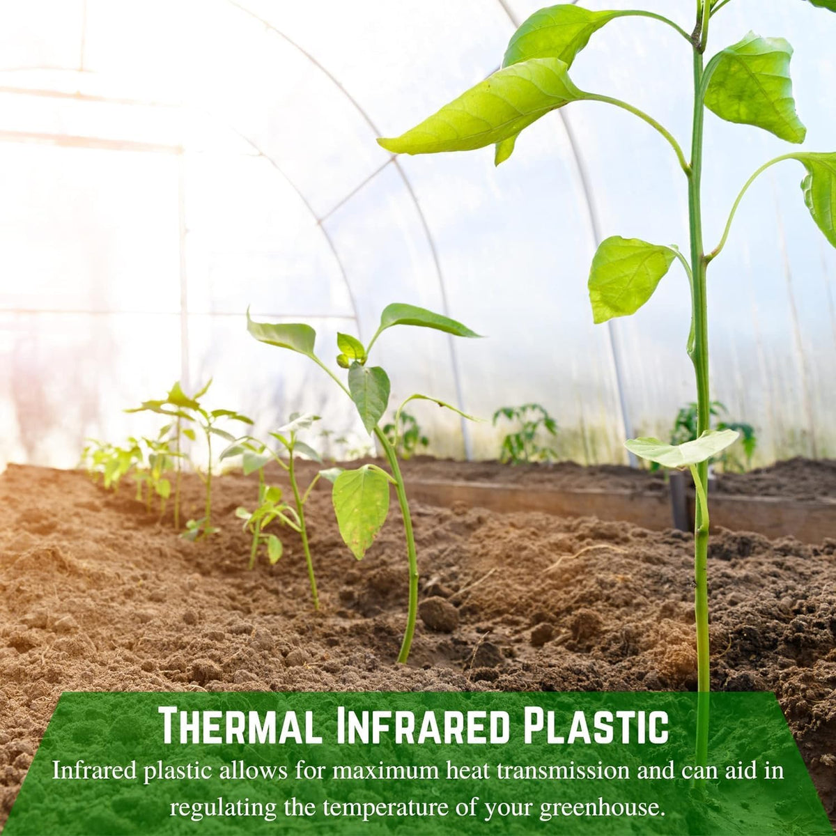 Farm Plastic Supply - Clear Coolmax Greenhouse Plastic Sheeting - 6 Mil - 4 Year UV Resistant Infrared Anti-Condensate Green House Covering Thermal Greenhouse Plastic 6 mil (50' x 70')