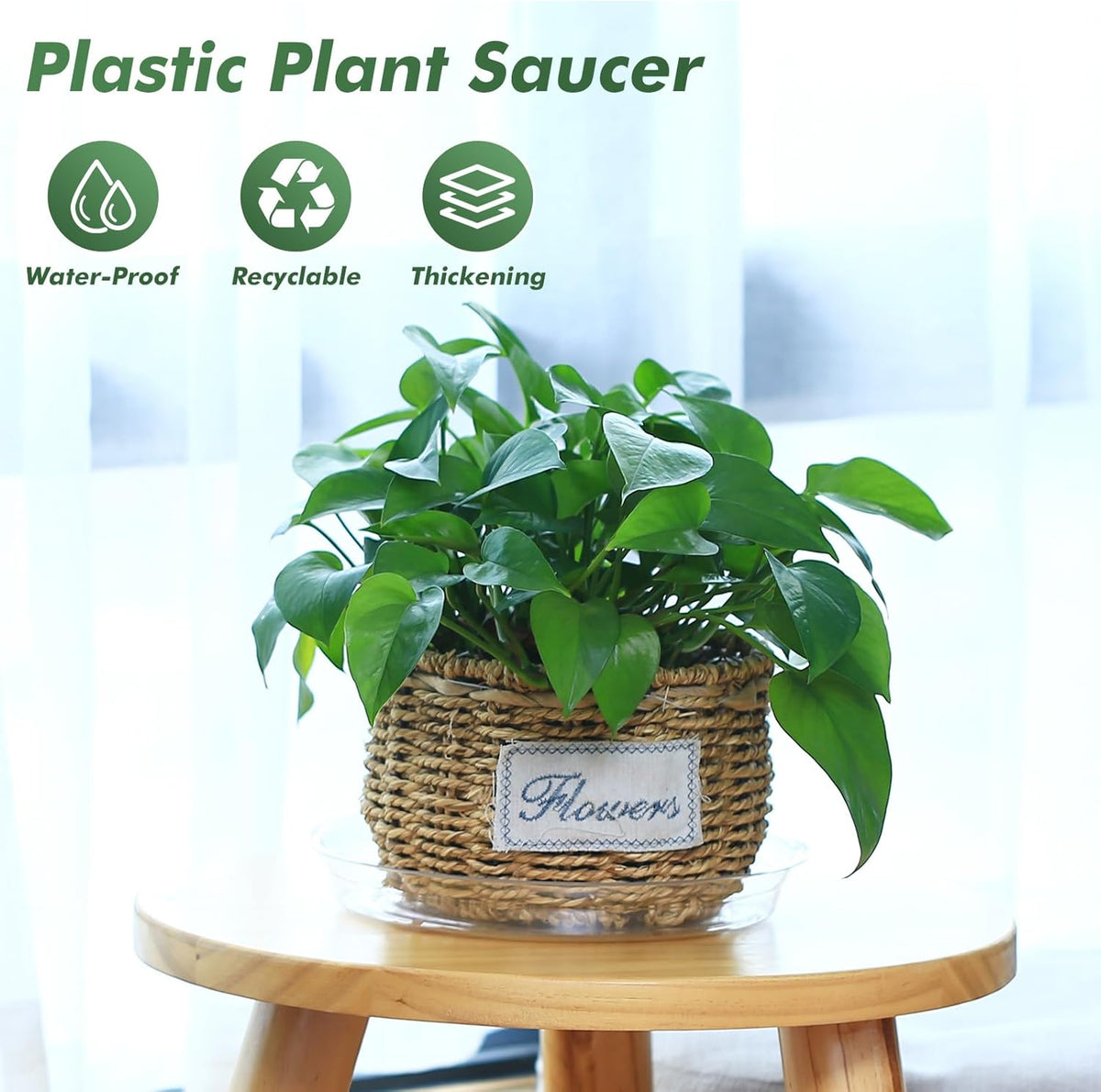 60 Pack Clear Plant Saucers for Indoors (4 6 Inch) Flower Pot Saucers for Potted Plants Plate Set Plant Trays for Indoors No Holes Plants Saucer Trays for Pots Drip Tray Plastic Tray for Succulent