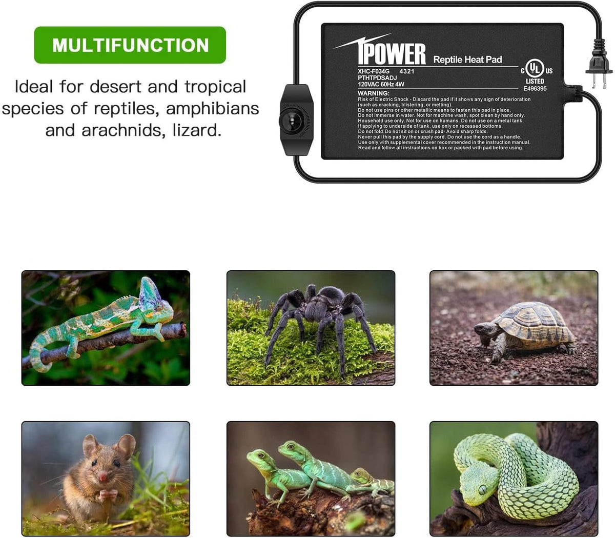 iPower 4 by 7-Inch 4 Watts Reptile Heating Mat with Temperature Controller Under Tank Warmer Terrarium Heat Pad for Reptiles and Amphibians, Black