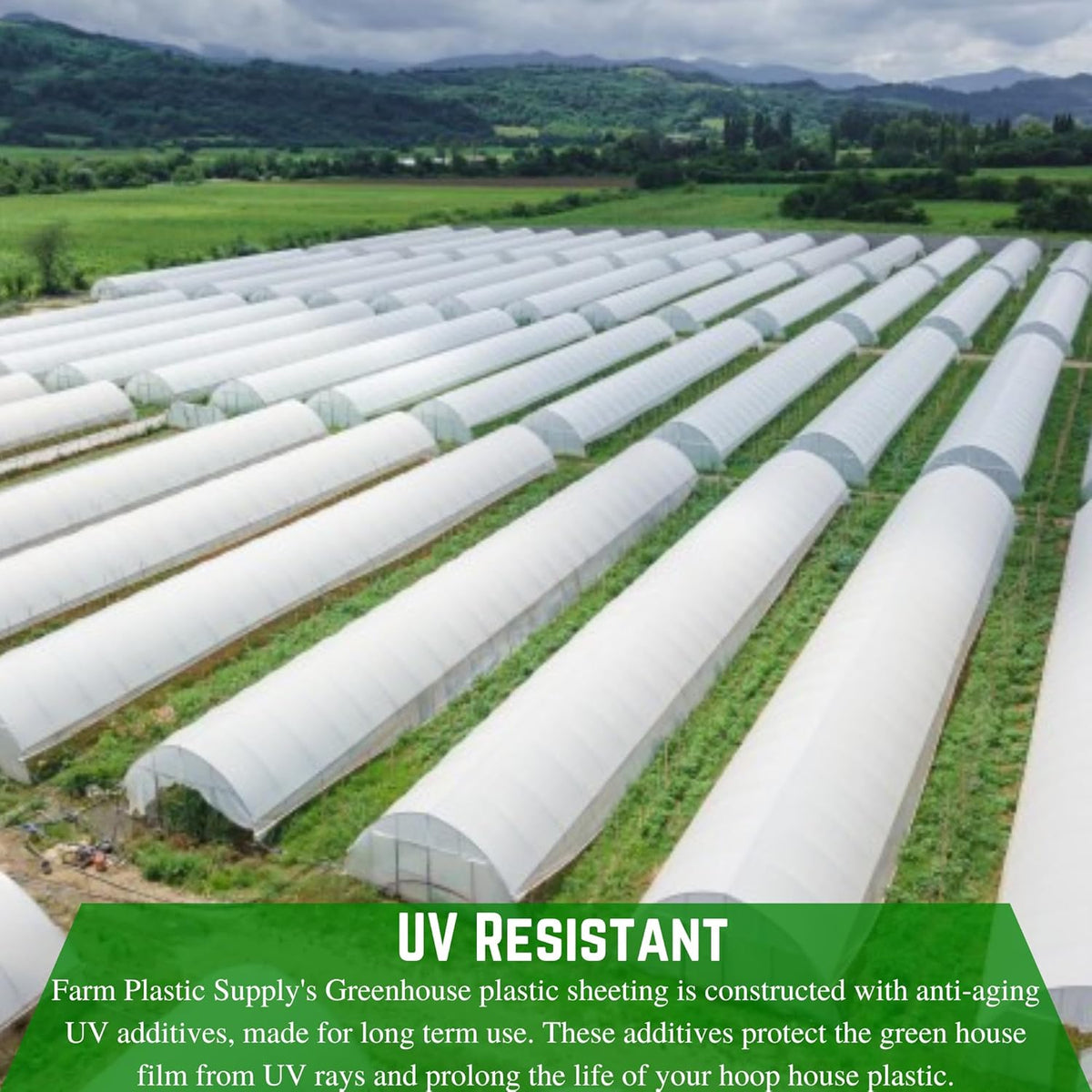 Farm Plastic Supply - String Reinforced 4 Year UV Resistant 10 mil White Greenhouse Plastic Sheeting - 4 Year UV Resistant Polyethylene Greenhouse Film, Hoop House Green House Cover (16' x 20')