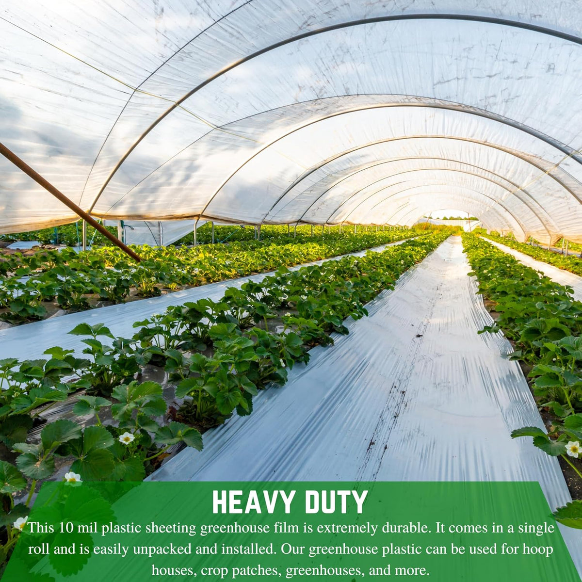 Farm Plastic Supply - String Reinforced 4 Year UV Resistant 10 mil Clear Greenhouse Plastic Sheeting - 4 Year UV Resistant Polyethylene Greenhouse Film, Hoop House Green House Cover (24' x 25')