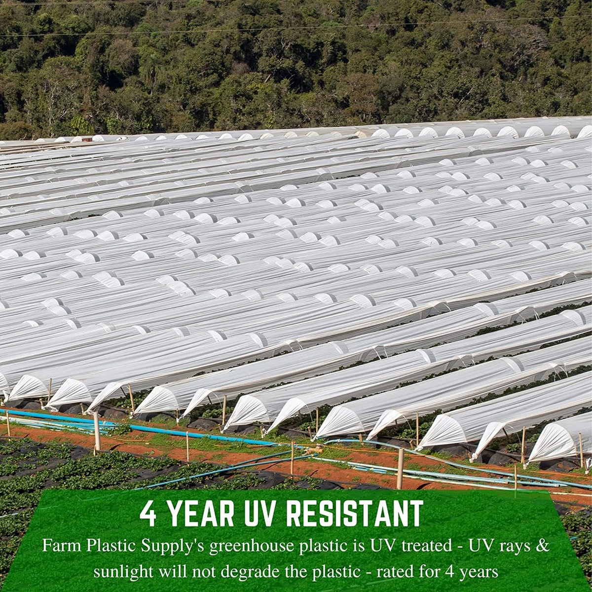 Farm Plastic Supply - White Greenhouse Plastic Sheeting - 6 mil - (32' x 100') - 4 Year UV Resistant Poly Greenhouse Film, 55% Light Transmission Hoop House Cover for Gardening, Agriculture