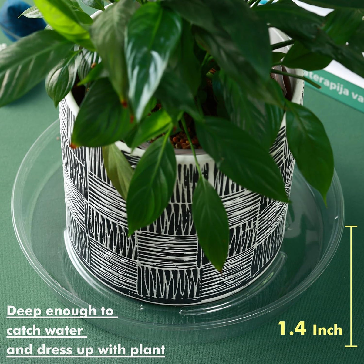 Plant Saucer 40 Pack Plant Trays for Pots 8 Inch Plastic Plant Saucers for Outdoors and Indoors Clear Drip Trays for Potted Plants Flower Pot Plates to Catch Water Plant Drainage Dishes No Holes