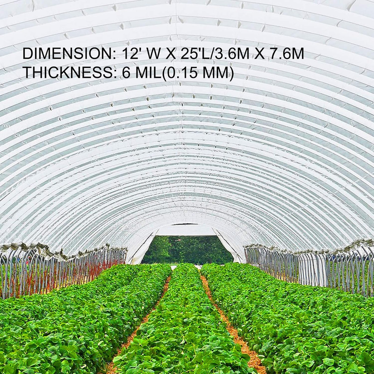 VEVOR Greenhouse Plastic Sheeting 12 x 25 ft, 6 Mil Thickness UV Resistant Clear Polyethylene Film, Hoop Green House Cover for Farms, Agriculture, Garden
