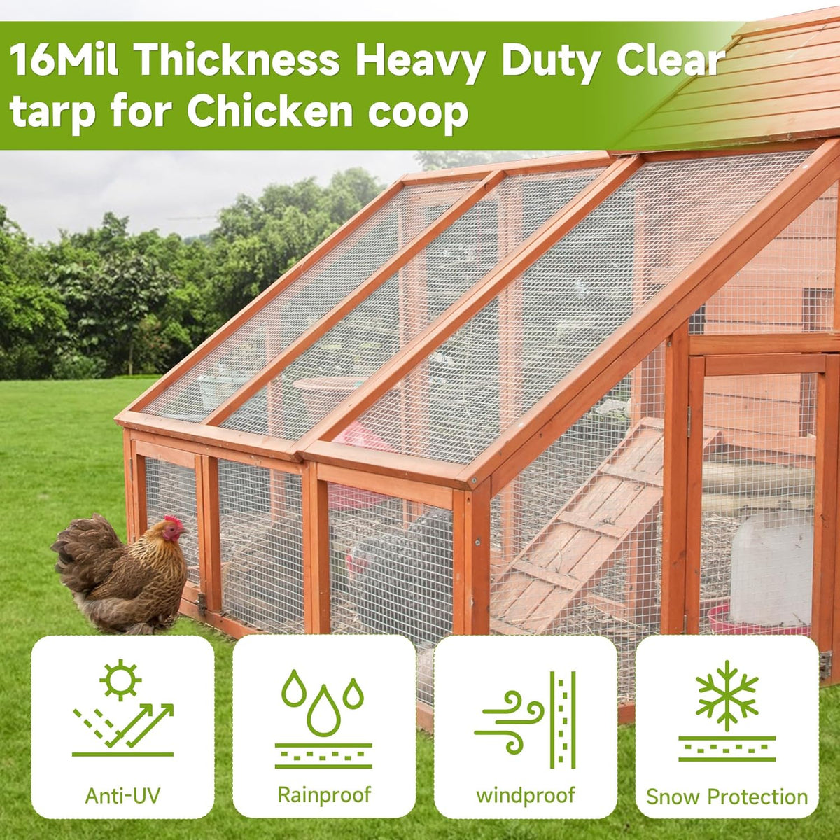 Greenhouse Cover,Clear Plastic Covering, 16Mil Thickness Heavy Duty Clear tarp for Chicken coop,Gardening,Farming, Greenhouse Plastic sheeting with Grommets (White, 3ft*3ft)