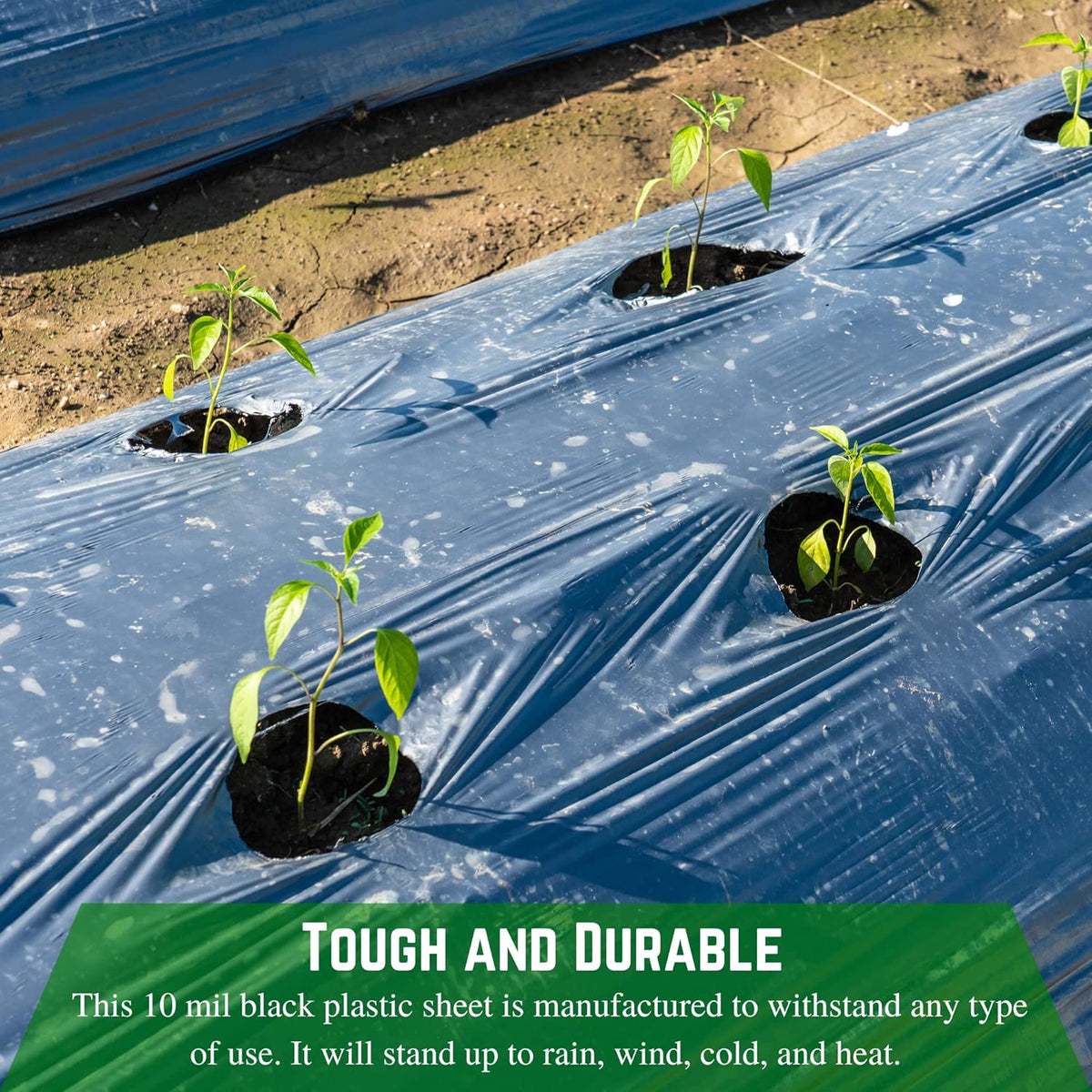 Farm Plastic Supply - Black Plastic Sheeting - 10 mil - (20' x 100') - Black Plastic Tarp, Polyethylene Vapor Barrier Plastic Sheeting, Painters Tarp, Roll of Heavy Duty Plastic