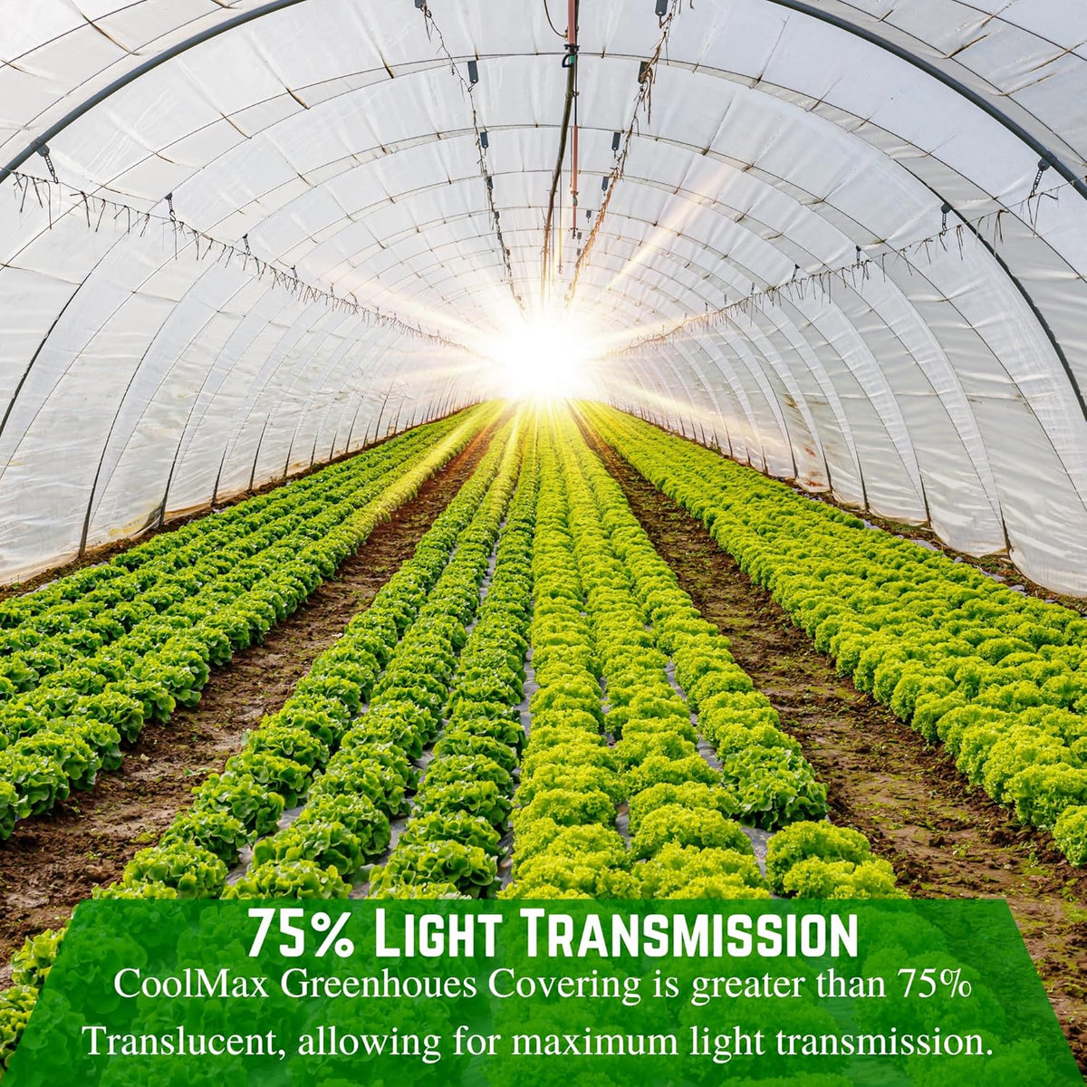 Farm Plastic Supply - Clear Coolmax Greenhouse Plastic Sheeting - 6 Mil - 4 Year UV Resistant Infrared Anti-Condensate Green House Covering Thermal Greenhouse Plastic 6 mil (20' x 60')