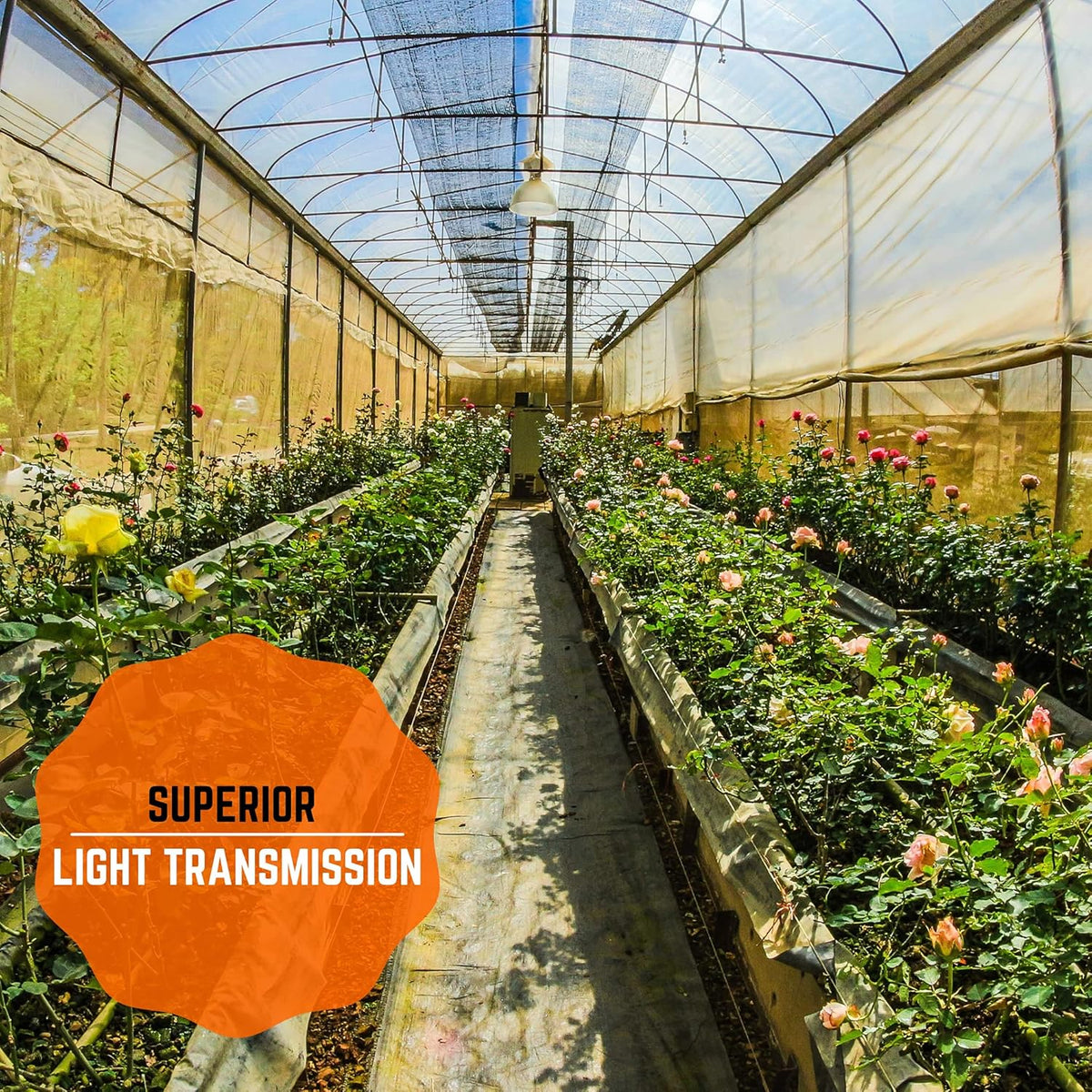 Farm Plastic Supply - Clear Greenhouse Plastic Sheeting - 6 mil - (25' x 18') - 4 Year UV Resistant Polyethylene Greenhouse Film, Hoop House Green House Cover for Gardening, Farming, Agriculture