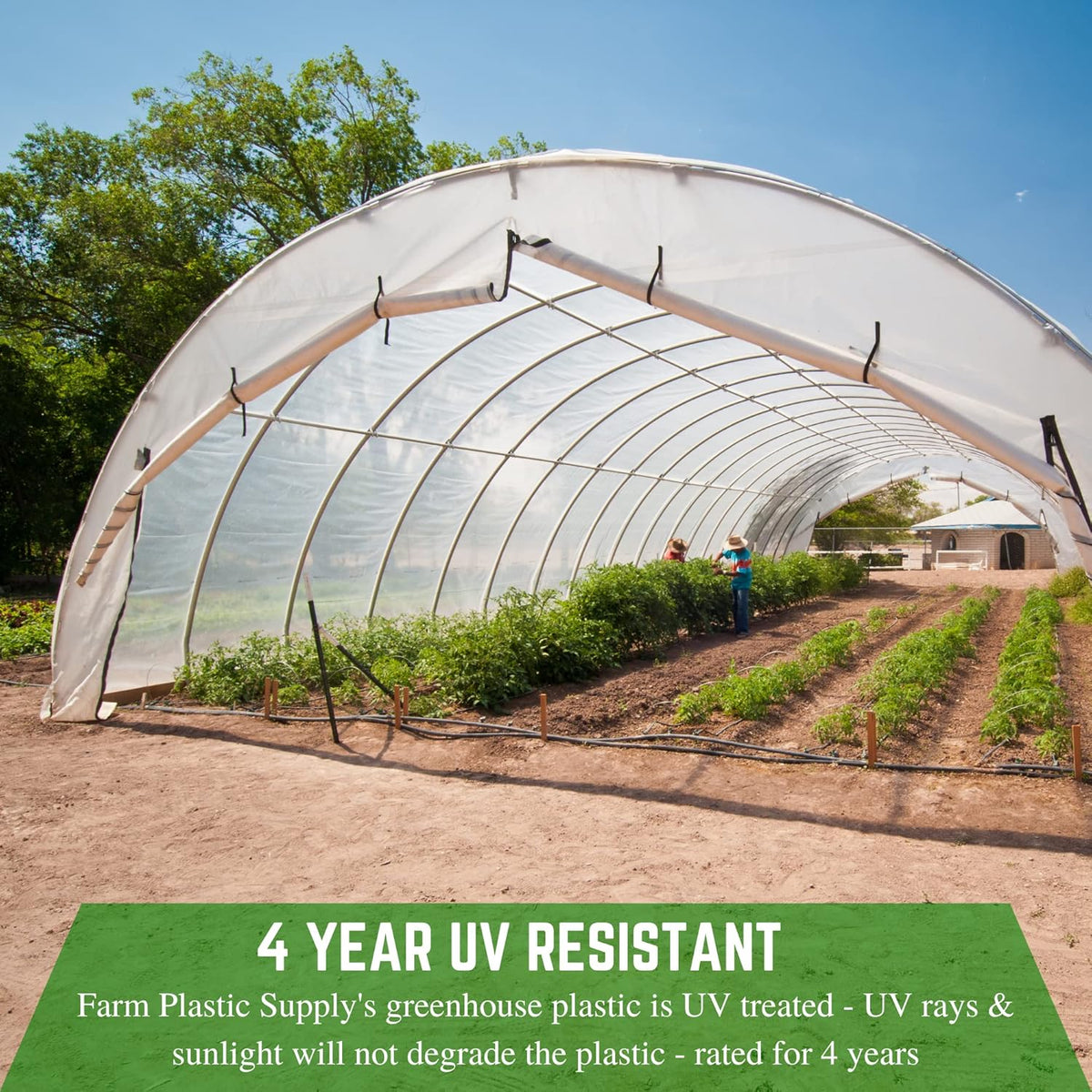 Farm Plastic Supply - Clear Greenhouse Plastic Sheeting - Ultra Durable - 8 mil - (13' x 10') - 4 Year UV Resistant Polyethylene Greenhouse Film for Gardening, Farming, Agriculture