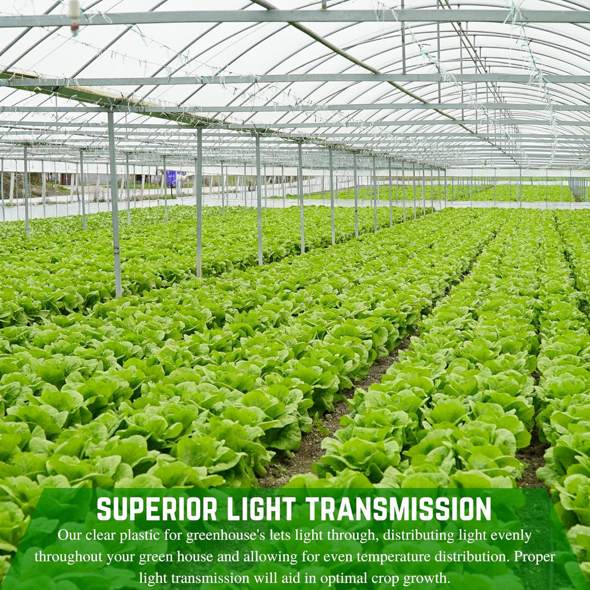 Farm Plastic Supply - String Reinforced 4 Year UV Resistant 10 mil Clear Greenhouse Plastic Sheeting - 4 Year UV Resistant Polyethylene Greenhouse Film, Hoop House Green House Cover (32' x 50')