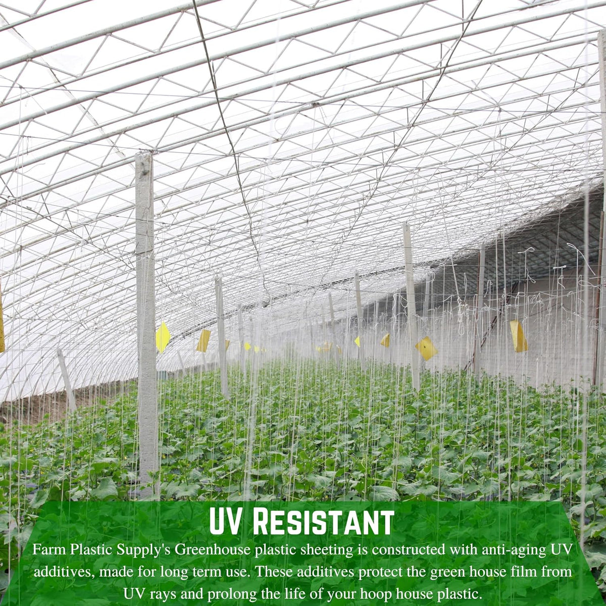 Farm Plastic Supply - String Reinforced 4 Year UV Resistant 10 mil Clear Greenhouse Plastic Sheeting - 4 Year UV Resistant Polyethylene Greenhouse Film, Hoop House Green House Cover (6' x 75')